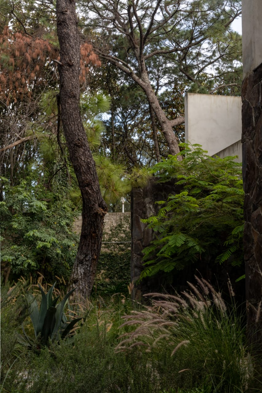 CASA PINAR