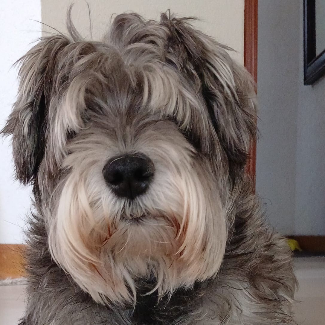 Ralfonso